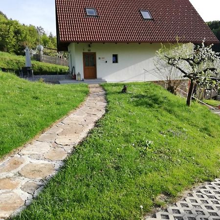 Bioferienhaus Muster - Dominkusch Possnitz Экстерьер фото