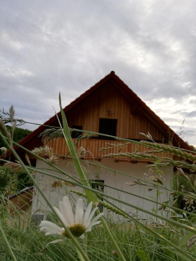 Bioferienhaus Muster - Dominkusch Possnitz Экстерьер фото